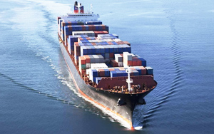 �������Ї����ڟo�������L67.5%